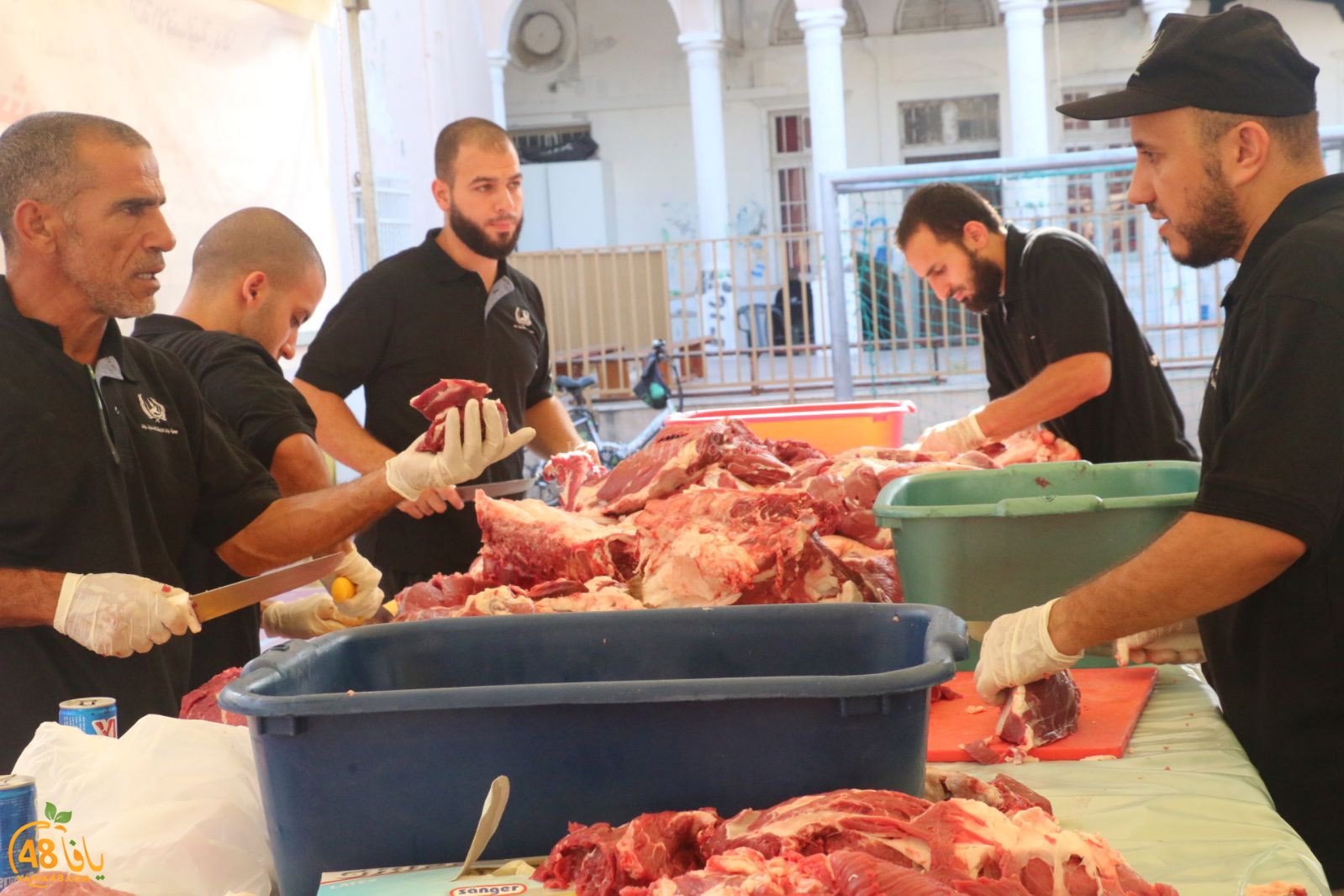 lo7om jam3iya u3 (38).jpg